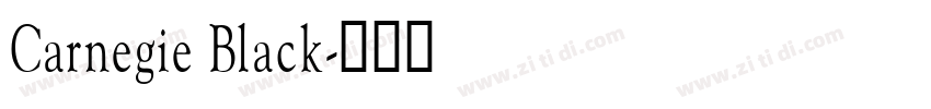Carnegie Black字体转换